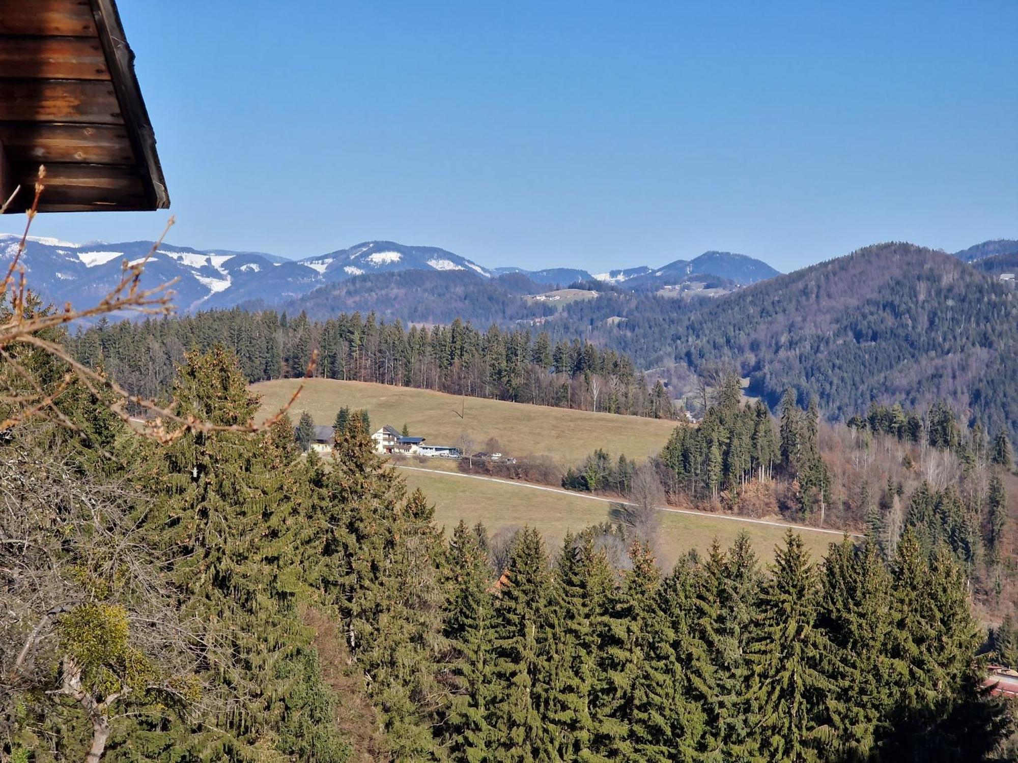 Natur- & Erlebnis Ferienhaus Voitsberg Εξωτερικό φωτογραφία